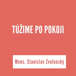 TÚŽIME PO POKOJI | Mons. Stanislav Zvolenský