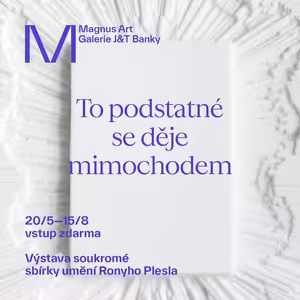 Art Talks: S Ronym Pleslem o výstavě To podstatné se děje mimochodem