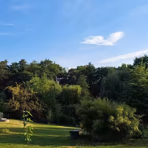 Vzkazy přírody - 2 - Stromy hovoří