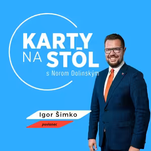 Igor Šimko: Referendum by malo ukončiť akúkoľvek vládu