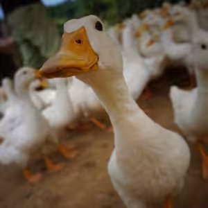 S1E1: Kde sme, čo sme