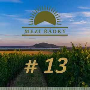 #13 O cestách za vínem