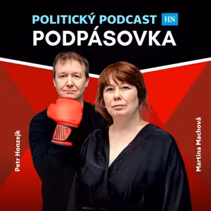 Neuvěřitelné překrucování reality a urážky prezidenta. Máme detaily vládního podání k Ústavnímu soudu