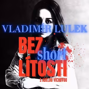 Případ Vladimír Lulek