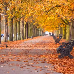 Dopoludnie na InfoVojne s Adrianom 20.11.2025