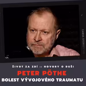 BOLEST VÝVOJOVÉHO TRAUMATU - PETER PÖTHE