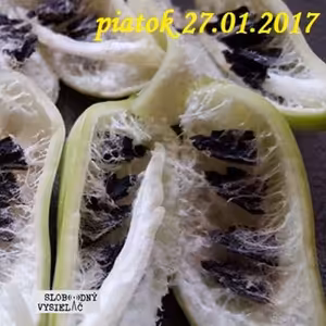 Riešenia a alternatívy 04 - 2017-01-27 AntiGMO: Záchrana zdravých semienok