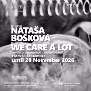 Predposledná večera s Natašou Boškovou