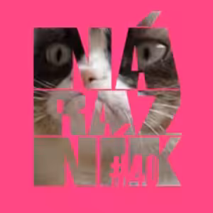 NÁRAZNÍK #40 / Náhubok