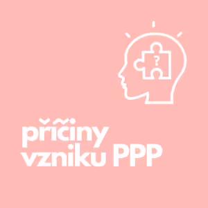 18. Příčiny vzniku PPP