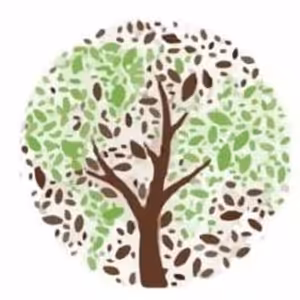 Doba stvoření 2020 2 ráno