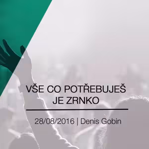 Vše, co potřebuješ, je zrnko // Denis Gobin // Pankrác // 28.8.2016