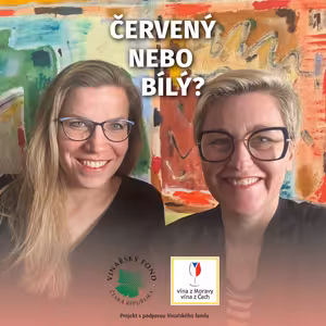 029: Národní sommelierka o exportu do zahraničí, vzdělávání o víně a důležitých milnících