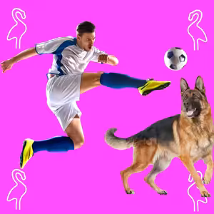 Zdegenerovaní Psi a Zkažený Fotbal