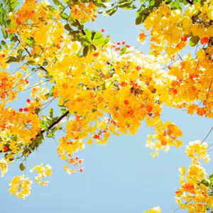 Dopoludnie na Infovojne s Adrianom 26.6.2023