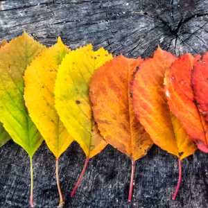 Dopoludnie na Infovojne s Adrianom 8.11.2023