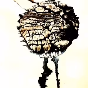 MAR7Y epitom - PRO57OR