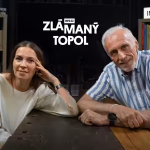 Topolánek varuje před novými zákony vlády: Tohle už je nebezpečné