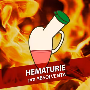 Hematurie pro absolventa