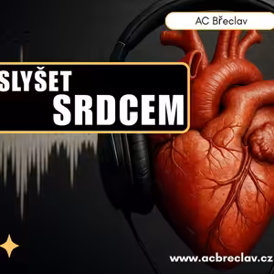 Slyšet srdcem - Lukáš Sedlák