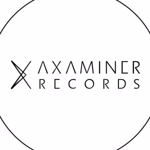 Axaminer Records