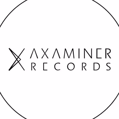 Axaminer Records