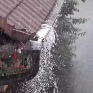 Vlákna Stvoření – živé vysílání