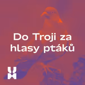 Do Troji za hlasy ptáků – komentovaná procházka s ornitologem Lukášem Viktorou