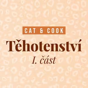 Těhotenství 1. část