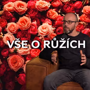 Vše o růžích