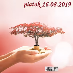 Riešenia a alternatívy 127 - 2019-08-16 Alternatívy k finančnému systému…