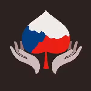 MIROSLAVA NĚMCOVÁ I V Česku nyní nemáme obecně sdílený balíček hodnot