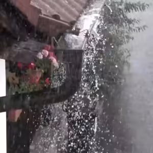 Vlákna Stvoření – živé vysílání