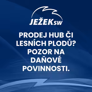 Prodej hub či lesních plodů? Pozor na daňové povinnosti.