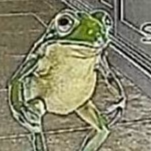 Strašidelné príbehy: #1