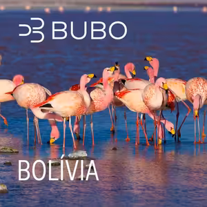 Bolívia: krajina lítia, hrdzavých vlakov a prírodných zážitkov, ktoré vytiahnu každého zo zóny komfortu