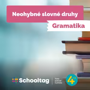 #Gramatika - Neohybné slovné druhy