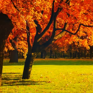 Dopoludnie na InfoVojne s Adrianom 6.11.2025