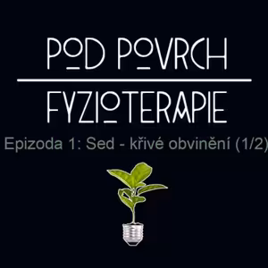 Epizoda 1: Sed - Křivé obvinění (1/2)