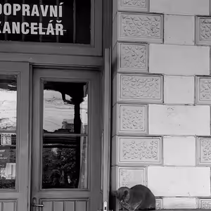 Daria Balejová: Řevnické nádraží