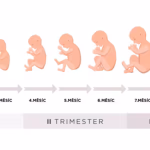 #96 epizoda: Těhotenství čast II.