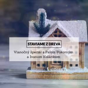 Vianočný špeciál: Akými zmenami prešli stavby z dreva tento rok a čo si prajeme do roku 2021?