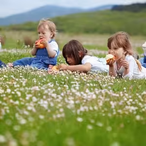 Vánoce - litujme i malých hříchů