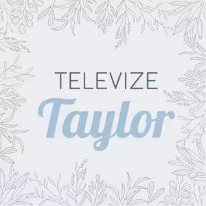 Právě teď z Vídně: hrozba teroristického útoku na koncertě Taylor Swift