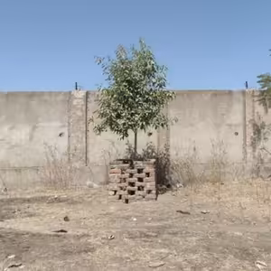 vChade ep.8 Dejepis a počítanie peňazí