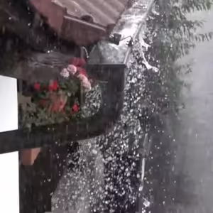 Vlákna Stvoření – živé vysílání