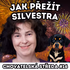 🎉Jak přežít Silvestra?🎉 | Chovatelská středa #16