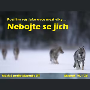 Mesiáš podle Matouše 31 - Nebojte se jich - Bohuslav Wojnar (28.4.2013)