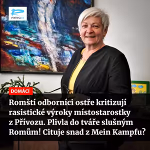 Čteme Romea.cz: Romští odborníci ostře kritizují rasistické výroky místostarostky z Přívozu. Plivla do tváře slušným Romům! Cituje snad z Mein Kampfu?