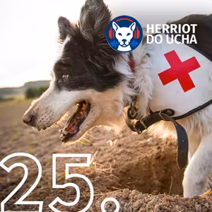 #25 🐕🐈⬛ První pomoc u psů a koček: víš, co dělat, když jde do tuhého? - MVDr. Michaela Riedlová